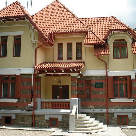 Pensiunea Micsunica Sinaia Bagian luar foto